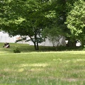 Burgfest_Stargard-20120812-12_33_37_3003.jpg