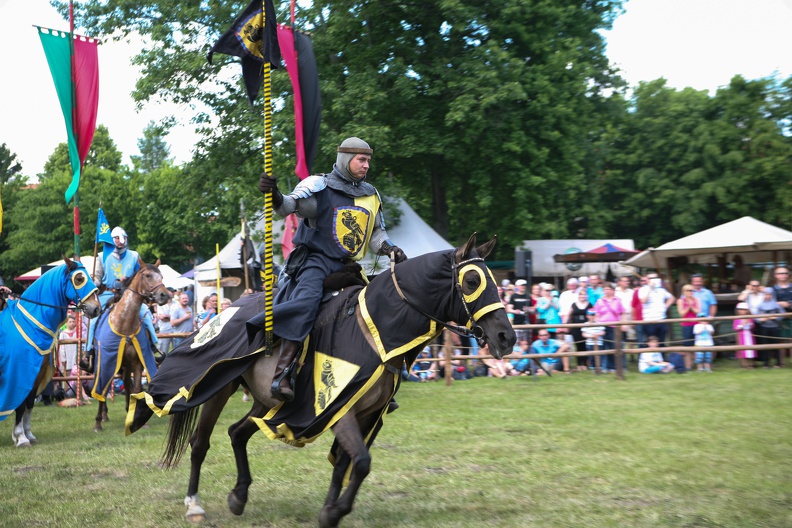 Neustadt-Glewe_20130608-143944_2471.jpg