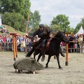 Neustadt-Glewe_20140601-155152_7845.jpg