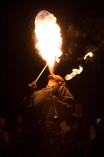 Burgfest-Heldrungen_20140927-205847_1543.jpg