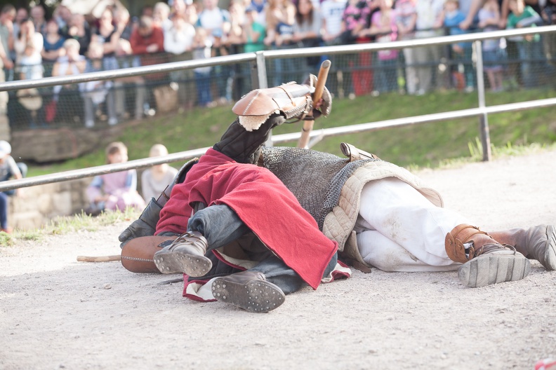 Burgfest-Heldrungen_20140928-155916_2181.jpg