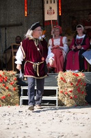 Mittelalterliches Dorffest Neuenhagen 20170715-163026 3456