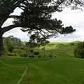 Newzealand_20191113-102410_5824.jpg